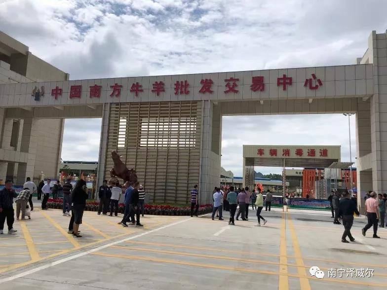 澤威爾參加中國(guó)南方牛羊批發(fā)交易市場(chǎng)開業(yè)展覽會(huì)