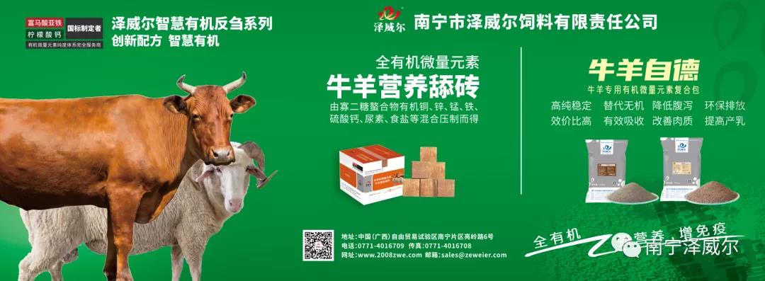 澤威爾參加中國(guó)南方牛羊批發(fā)交易市場(chǎng)開業(yè)展覽會(huì)