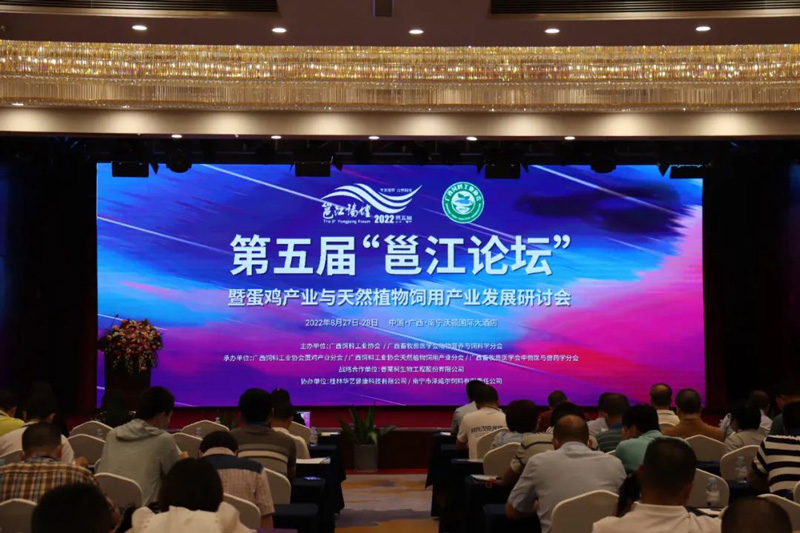 澤威爾參加第五屆邕江論壇
