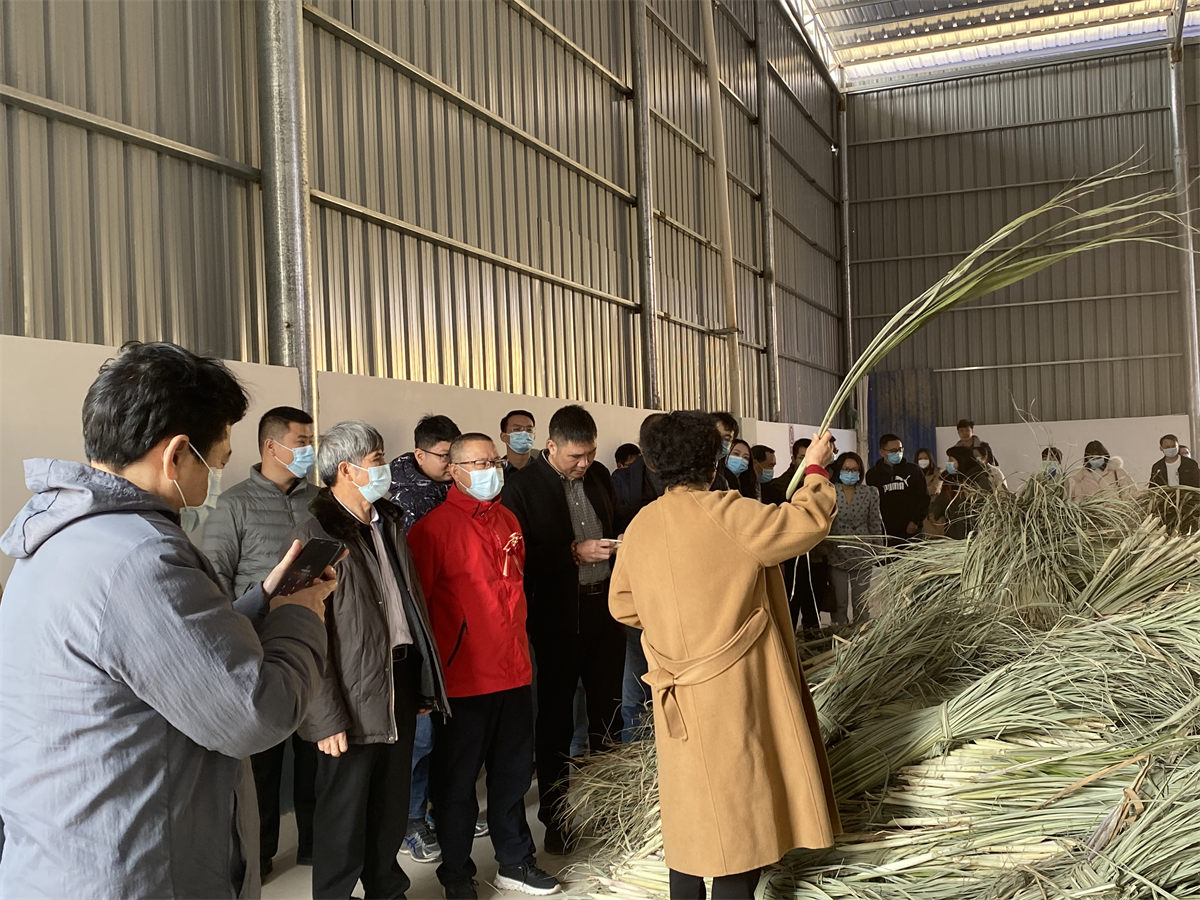 參觀年產(chǎn)2萬噸單細(xì)胞飼料蛋白項(xiàng)目