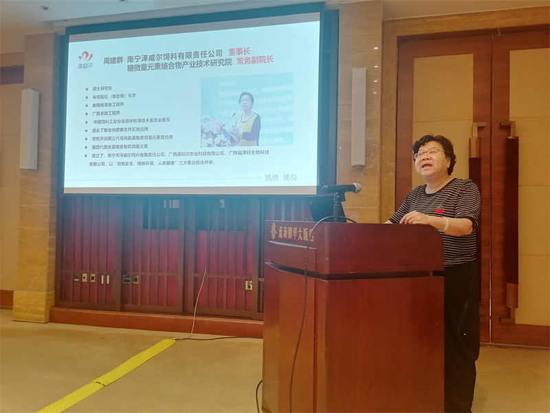 周建群董事長(zhǎng)