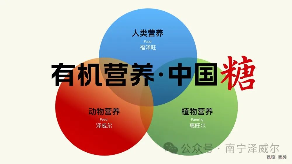 有機(jī)營養(yǎng)中國糖